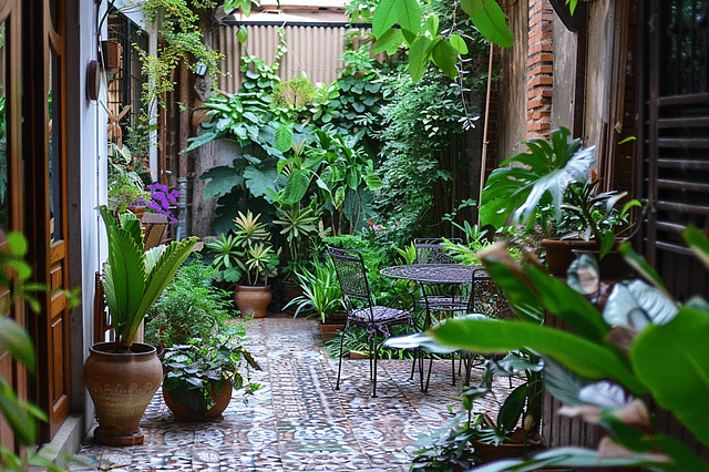 Plants on a patio